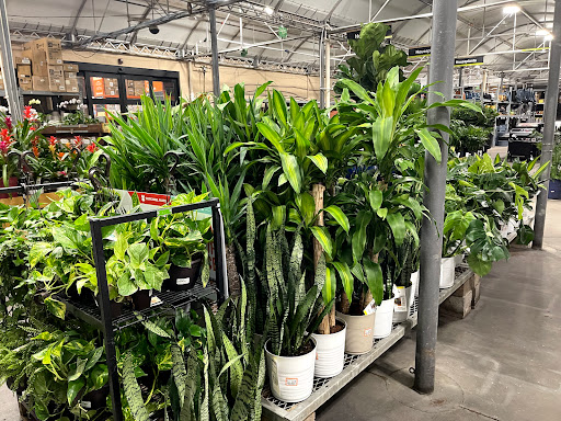 Home Improvement Store «The Home Depot», reviews and photos, 30144 US Hwy 19 N, Clearwater, FL 33761, USA