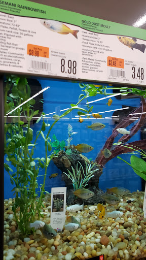 Pet Supply Store «Pet Supplies Plus», reviews and photos, 977 Atlantic Blvd, Atlantic Beach, FL 32233, USA