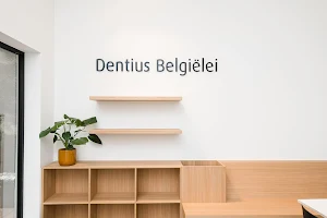 Dentius Belgiëlei image