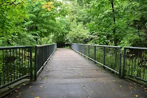 Chedoke Radial Recreational Trail image