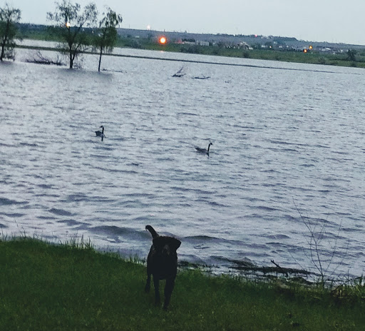 Towing Service «Premier Towing and Auto Repair», reviews and photos, 5146 134th Ave NW #2, Williston, ND 58801, USA