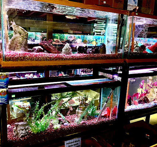 Pet Store «Aqualand Aquarium Center», reviews and photos, 5355 Chicago Ave, Minneapolis, MN 55417, USA