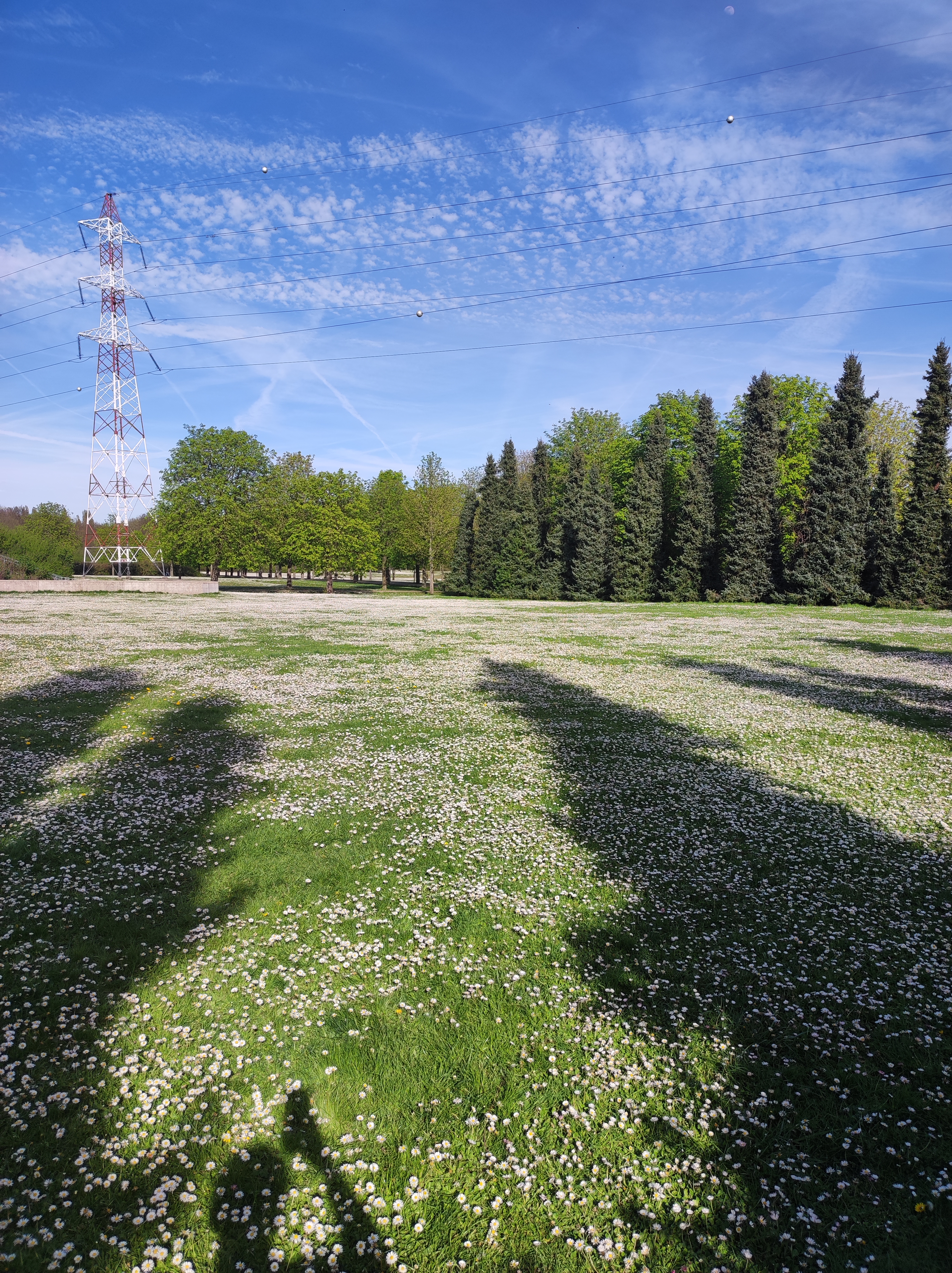 Photo n° 8 de l'avis de Yacine. fait le 22/03/2022 à 16:48