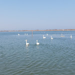 Photo n°4 de l'avis de Morena.e fait le 27/03/2022 à 18:48 sur le  Rifugio Il Ghebo à Porto Viro