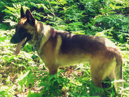 Park «Fort Circle Park», reviews and photos, Minnesota Ave SE, Washington, DC 20019, USA