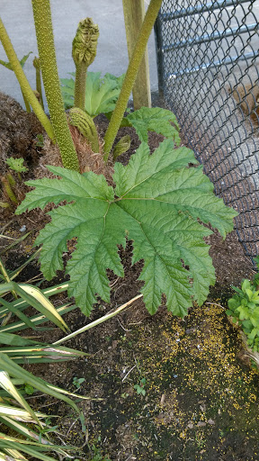 Park «Chism Beach Park», reviews and photos, 9600 SE 11th St, Bellevue, WA 98004, USA