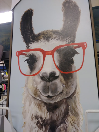 Department Store «Marshalls», reviews and photos, 100 Independence Way, Brewster, NY 10509, USA