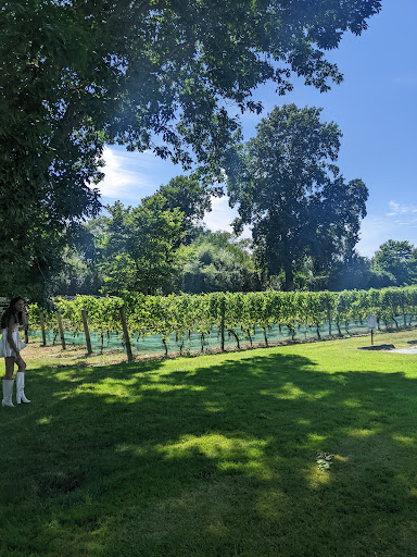 Vineyard «Duck Walk Vineyard», reviews and photos, 231 Montauk Hwy, Water Mill, NY 11976, USA