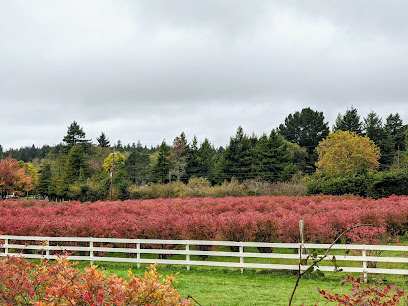 Blueberry Hill Farms