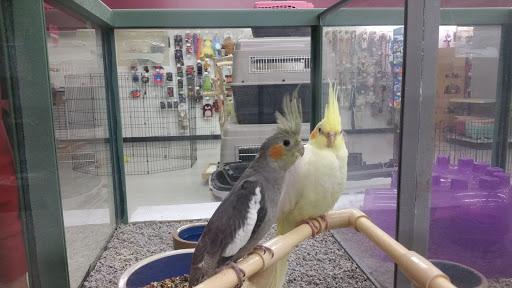 Pet Store «Petland Plano», reviews and photos, 1301 Custer Rd #405, Plano, TX 75075, USA