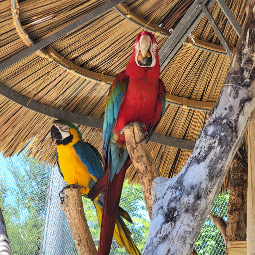 Zoo «Stone Zoo», reviews and photos, 149 Pond St, Stoneham, MA 02180, USA