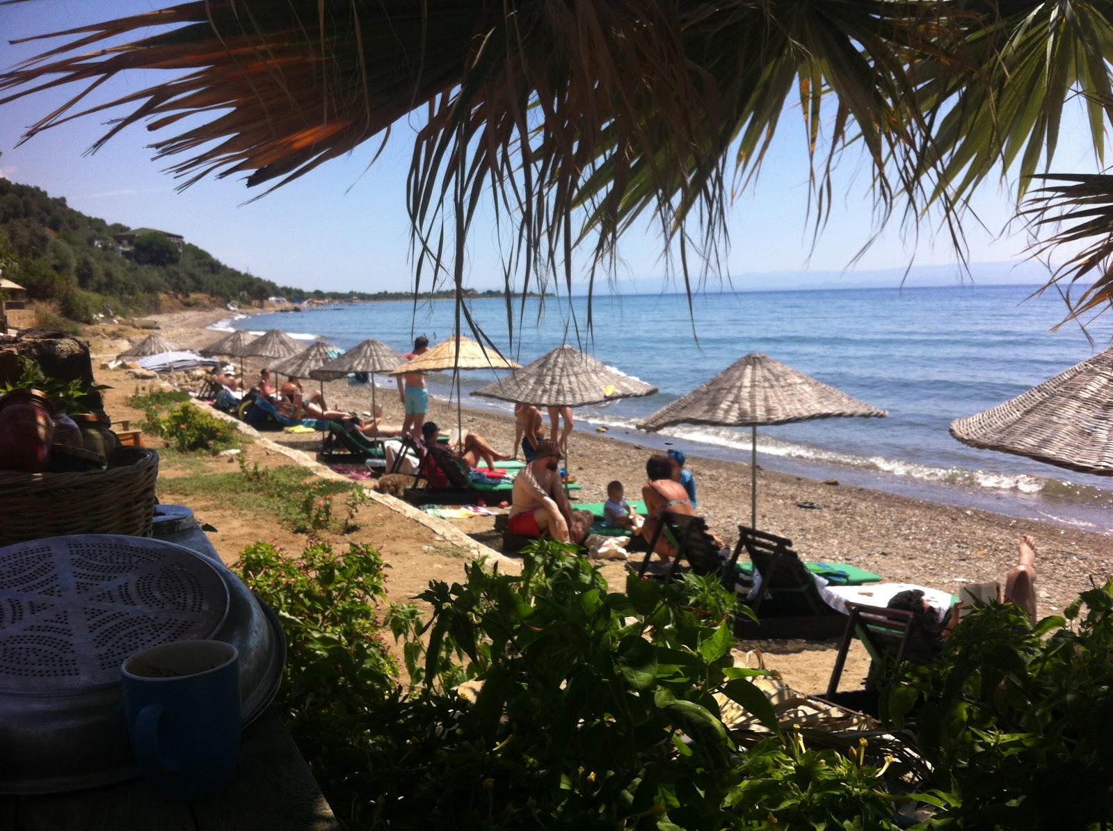 Zdjęcie Gargara Kamp beach - popularne miejsce wśród znawców relaksu