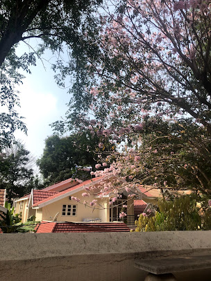 Google Maps image 24