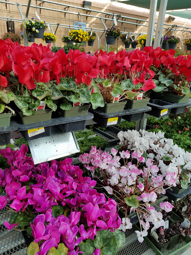 Home Improvement Store «Grange Co-op», reviews and photos, 1262 Stabler Ln, Yuba City, CA 95993, USA