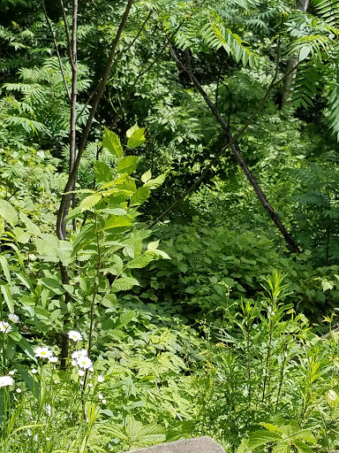 Gift Shop «Quechee Gorge Gifts & Sportswear», reviews and photos, 6053 Woodstock Rd, Quechee, VT 05059, USA