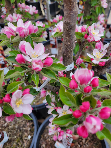 Home Improvement Store «The Home Depot», reviews and photos, 1650 SE Ensign Ln, Warrenton, OR 97146, USA