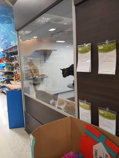 Pet Supply Store «PetSmart», reviews and photos, 3780 Riverchase Village #300, Hoover, AL 35244, USA