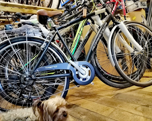 BikezTube - Bicycle store