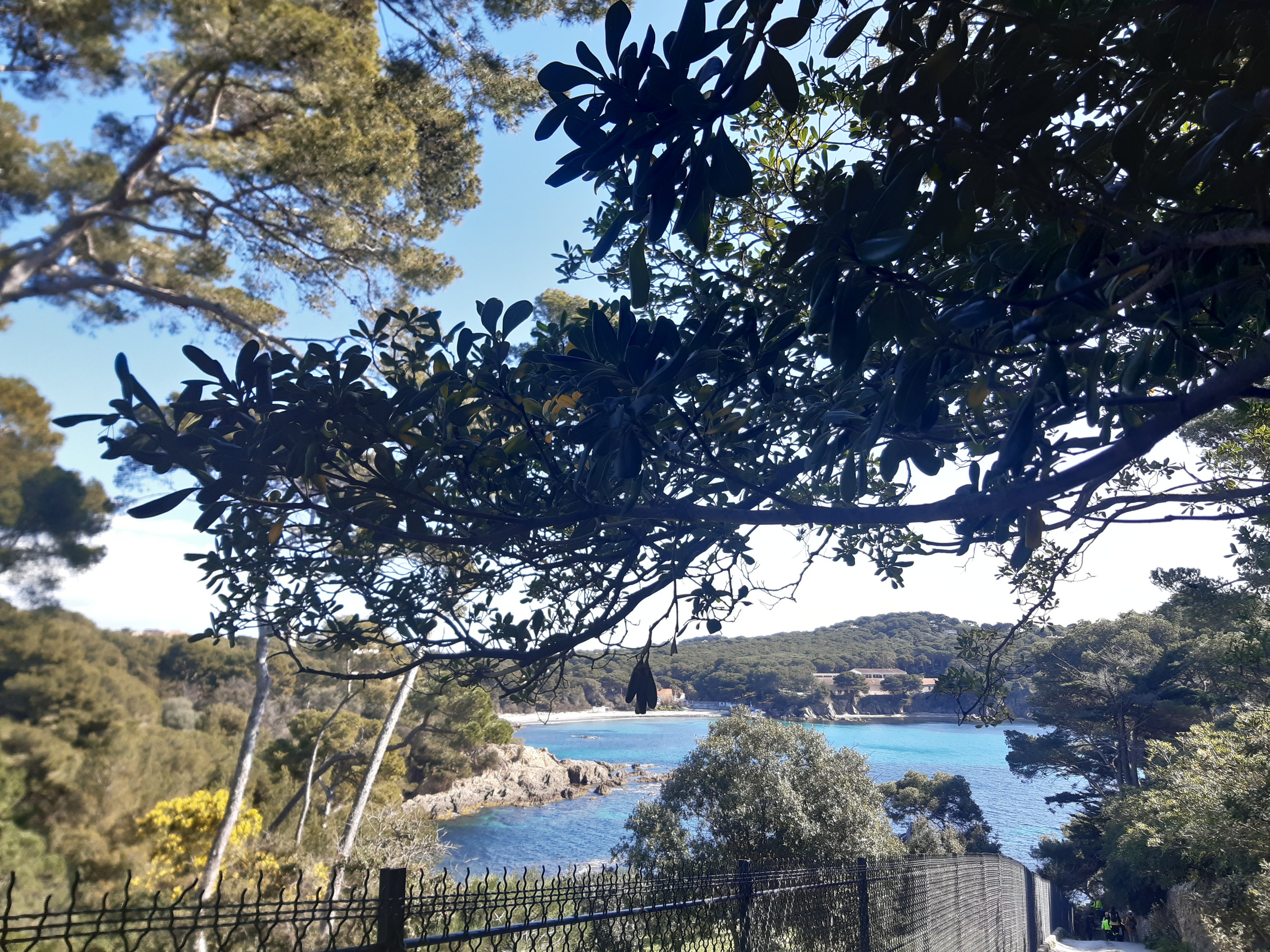 Photo n° 5 de l'avis de marquisa.o fait le 15/03/2022 à 17:47