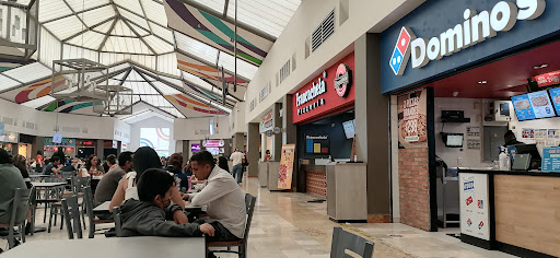 Domino's León Centro Max