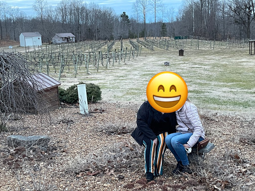 Wedding Venue «Natchez Hills Vineyard. Middle Tennessee Wedding Venue», reviews and photos, 109 Overhead Bridge Rd, Hampshire, TN 38461, USA