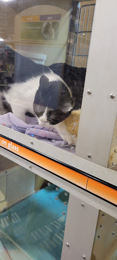 Pet Supply Store «PetSmart», reviews and photos, 19 Clifton Country Rd, Clifton Park, NY 12065, USA