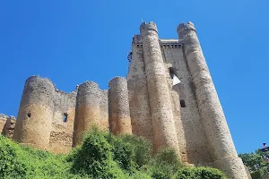 Castillo de Coyanza Valencia de Don Juan image