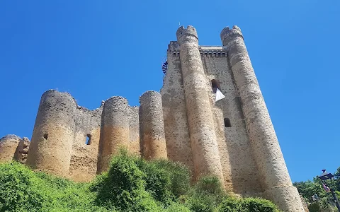 Castillo de Coyanza Valencia de Don Juan image