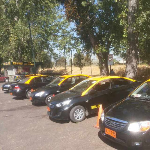 Taxis Los Parques Fono 232497772