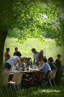 Domaine Rotier à Cadalen