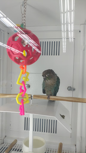 Pet Supply Store «Petco Animal Supplies», reviews and photos, 2210 N Eagle Rd, Meridian, ID 83646, USA