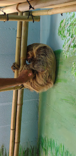 Zoo «Chestatee Wildlife Preserve & Zoo», reviews and photos, 469 Old Dahlonega Hwy, Dahlonega, GA 30533, USA