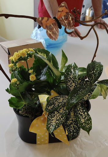 Florist «Wisteria Flowers & Gifts», reviews and photos, 360 Culver Rd, Rochester, NY 14607, USA