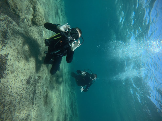 Opinii despre Diving Store în Τύρναβος - Κατάστημα