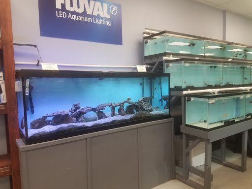 Tropical Fish Store «Reef To Rift Aquarium Store», reviews and photos, 1540 Cowpath Rd, Hatfield, PA 19440, USA