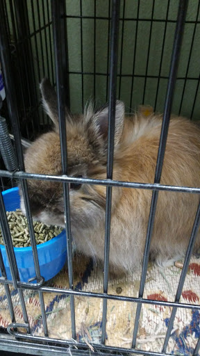 Pet Supply Store «Petco Animal Supplies», reviews and photos, 1917 Douglas Blvd, Roseville, CA 95661, USA