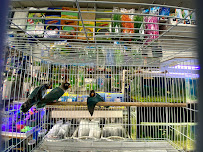 John's Feed & Pet Supplies - Photo 6 - Car repair in Huntington Park, CA, Long Beach