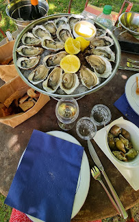 Plats et boissons du Bar-restaurant à huîtres L'Huître et la Vigne à Saint-Hilaire-d'Ozilhan - n°6