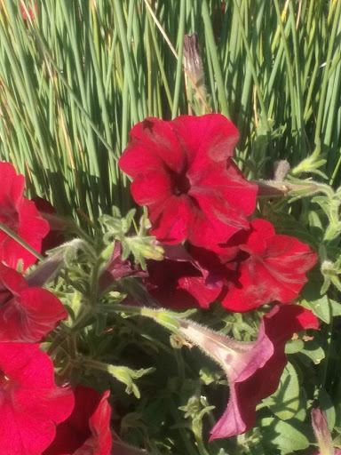 Park «George Rogers Clark Park», reviews and photos, 219 Riverside Dr, Covington, KY 41011, USA