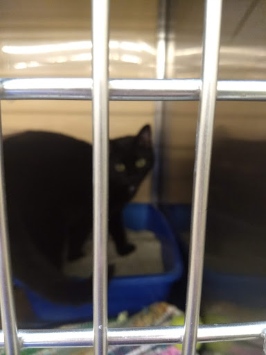 Pet Supply Store «PetSmart», reviews and photos, 8281 Troy Pike, Huber Heights, OH 45424, USA