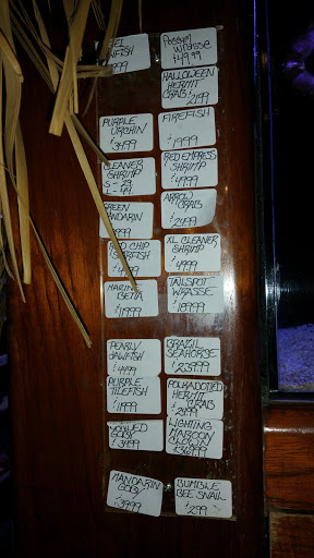 Tropical Fish Store «Old Town Aquarium», reviews and photos, 1538 N Wells St, Chicago, IL 60610, USA