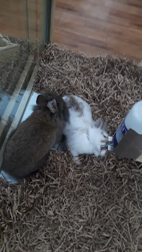 Pet Supply Store «Pet Supermarket», reviews and photos, 3821 S Cobb Dr, Smyrna, GA 30080, USA