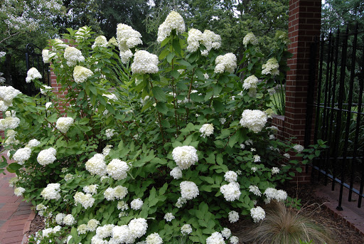 Historical Landmark «Helen Keller Birth Place», reviews and photos, 300 N Commons St W, Tuscumbia, AL 35674, USA