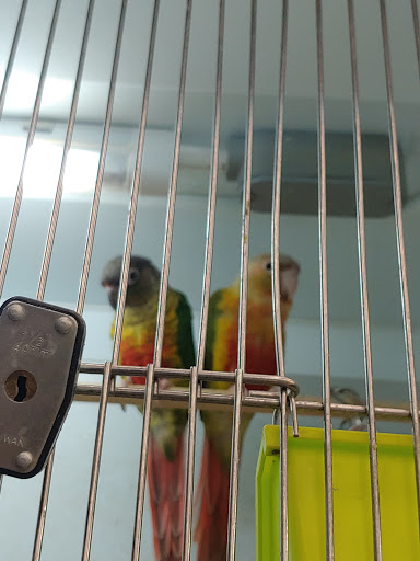 Pet Supply Store «Pet Supplies Plus», reviews and photos, 14839 Detroit Ave, Lakewood, OH 44107, USA