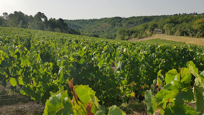 Château Plat Faisant à Saint-Vincent-Rive-d'Olt