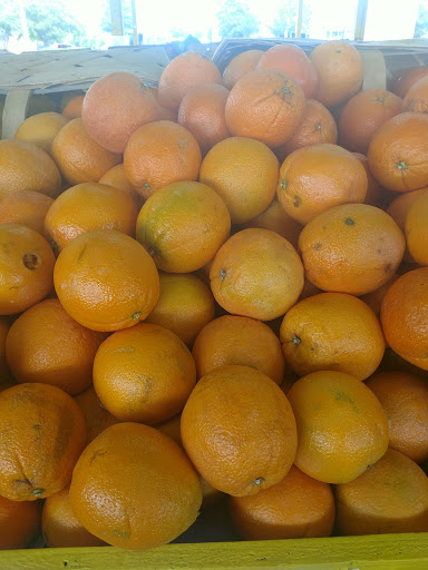 Grocery Store «The Rock Hill Farm Market», reviews and photos, 2751 Cherry Rd, Rock Hill, SC 29730, USA