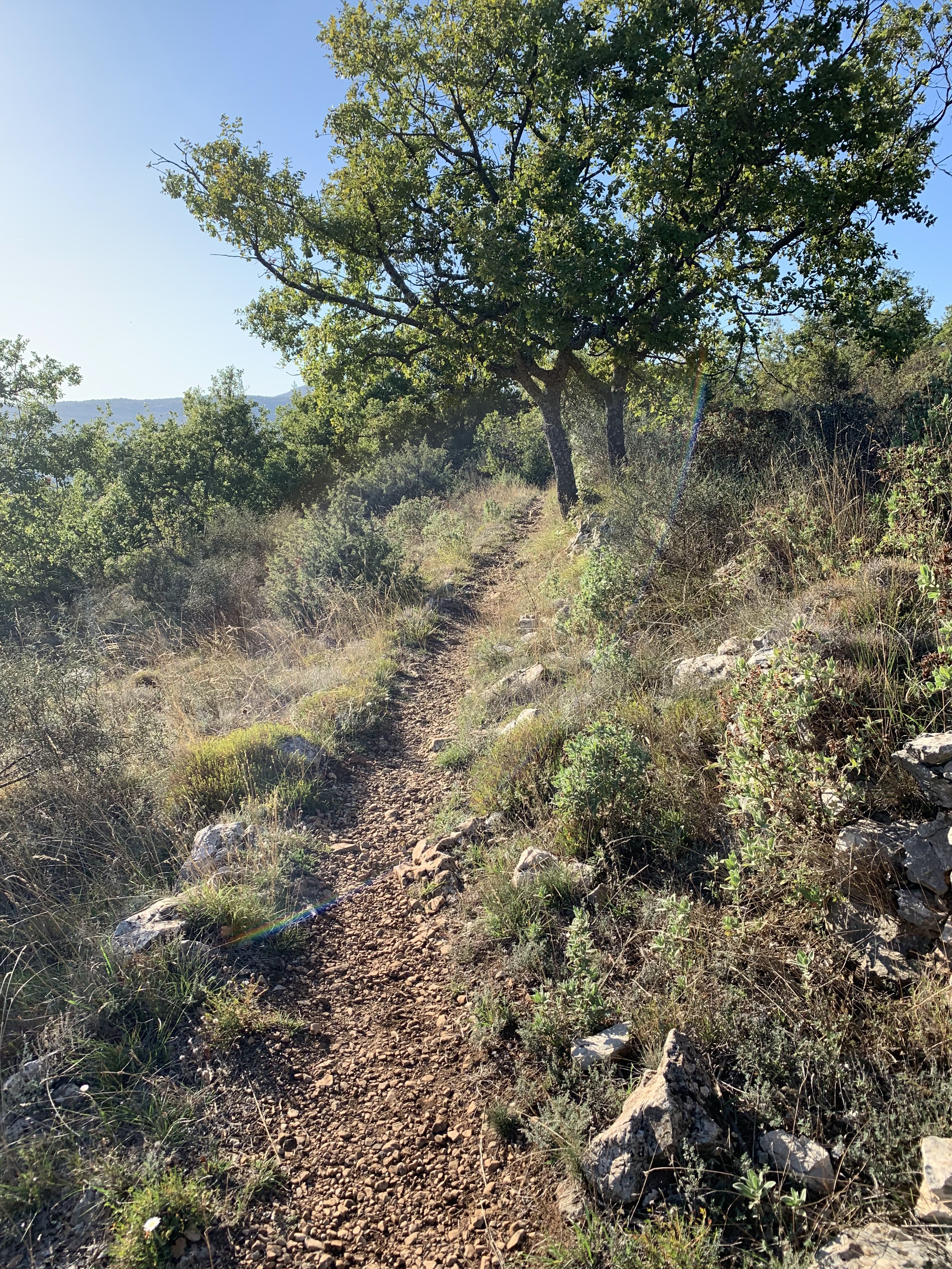 Photo n° 1 de l'avis de Thomas.l fait le 06/10/2019 à 17:57
