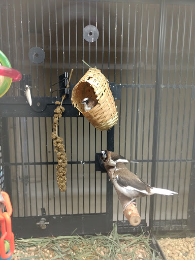 Pet Supply Store «PetSmart», reviews and photos, 1801 Howell Mill Rd NW, Atlanta, GA 30318, USA