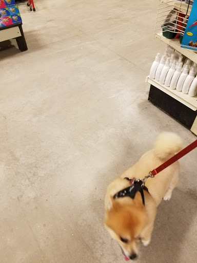 Pet Supply Store «PetSmart», reviews and photos, 475 Bank St, Waterbury, CT 06708, USA