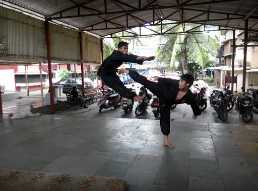 Shaolin Martial Arts Association Of India